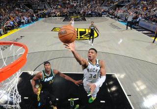 体成员提供 体成员提供