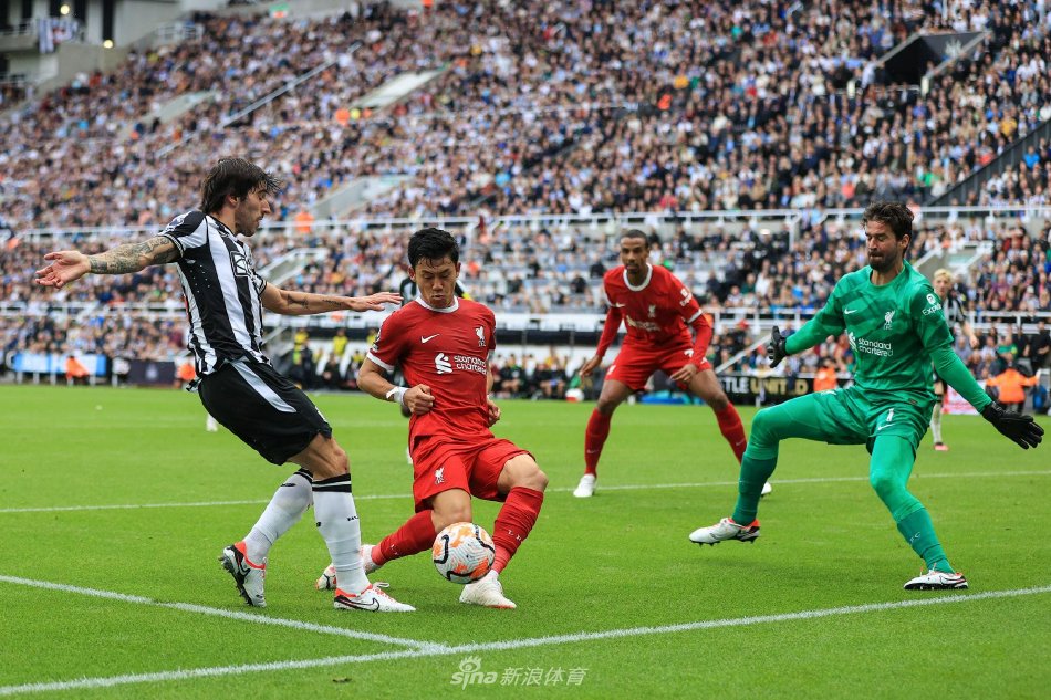 综合格斗选 综合格斗选